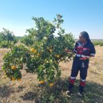 WhatsApp Image 2025-10-26 at 16.58.51 (1)