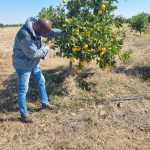 WhatsApp Image 2025-10-26 at 16.58.51